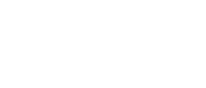 King Lewis Investments